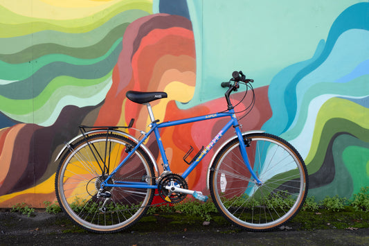 Seattle Bike Shop Recommendations